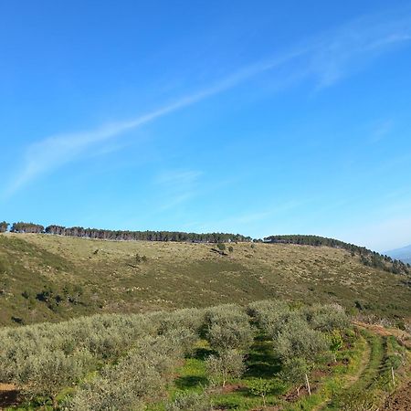 Vila Dean Berat Buitenkant foto
