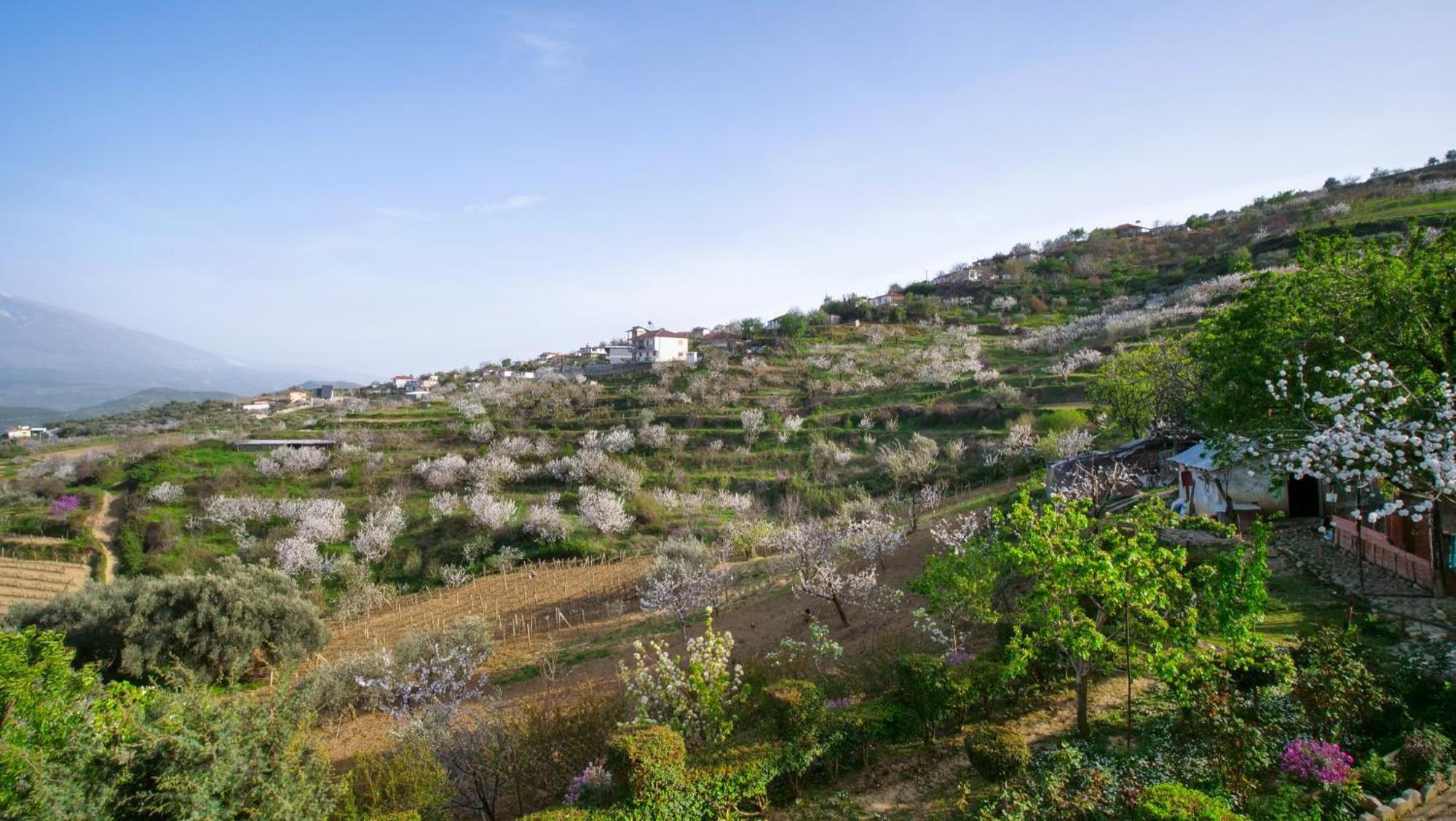 Vila Dean Berat Buitenkant foto