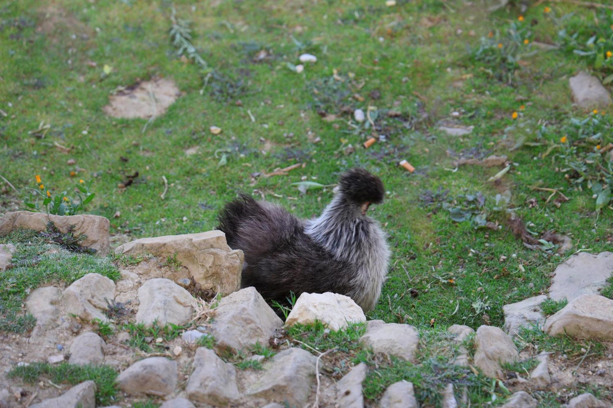 Vila Dean Berat Buitenkant foto